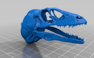 恐龙头骨 模型下载
