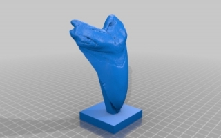 史前巨型鲨鱼牙齿-打印模型下载