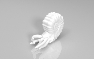 鹦鹉螺-打印模型下载